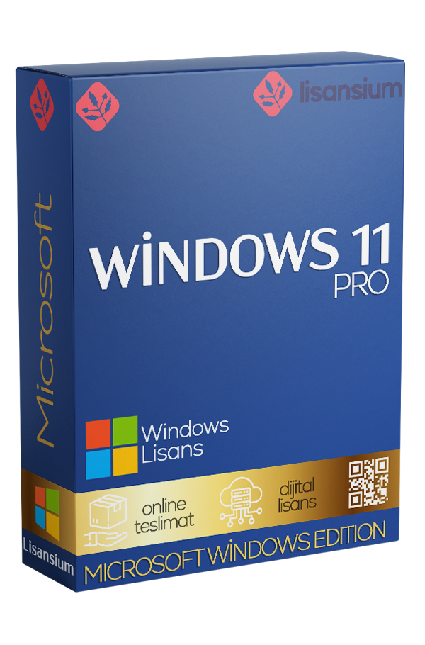 Windows 11 Pro